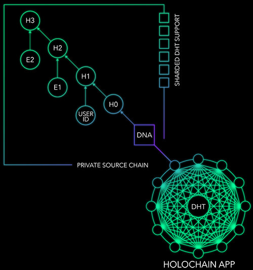 Holochain APP DNA