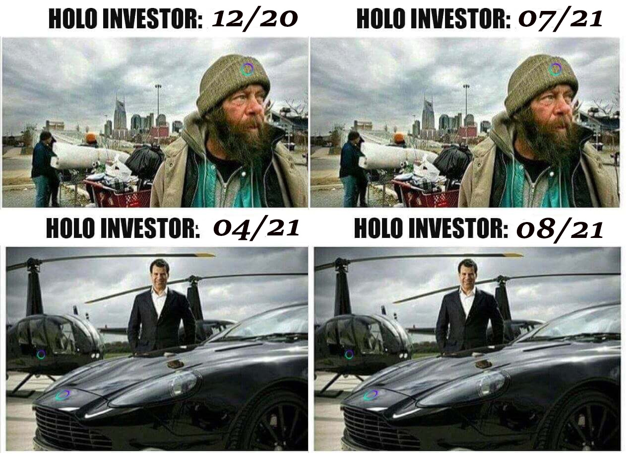 Holo Investor meme